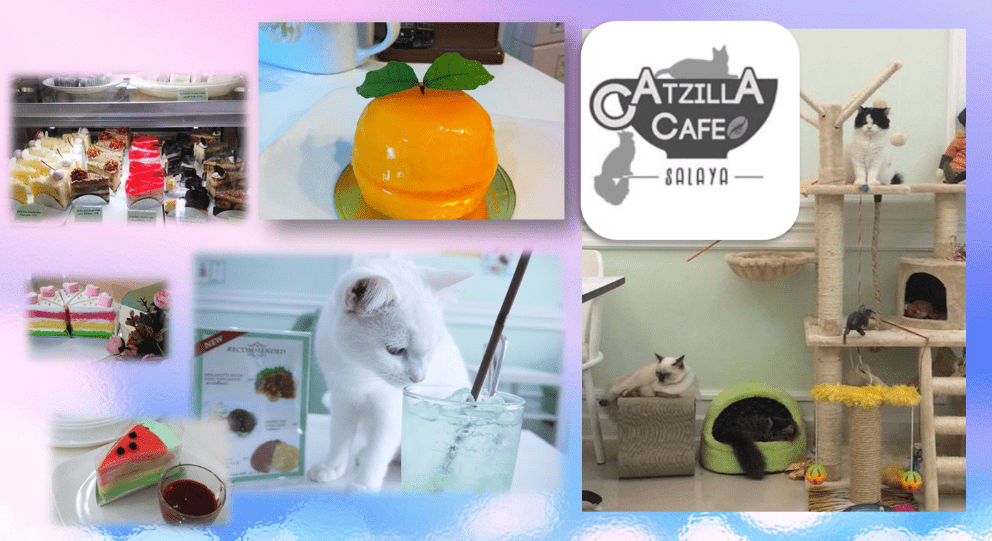 Catzilla CAFÉ.png